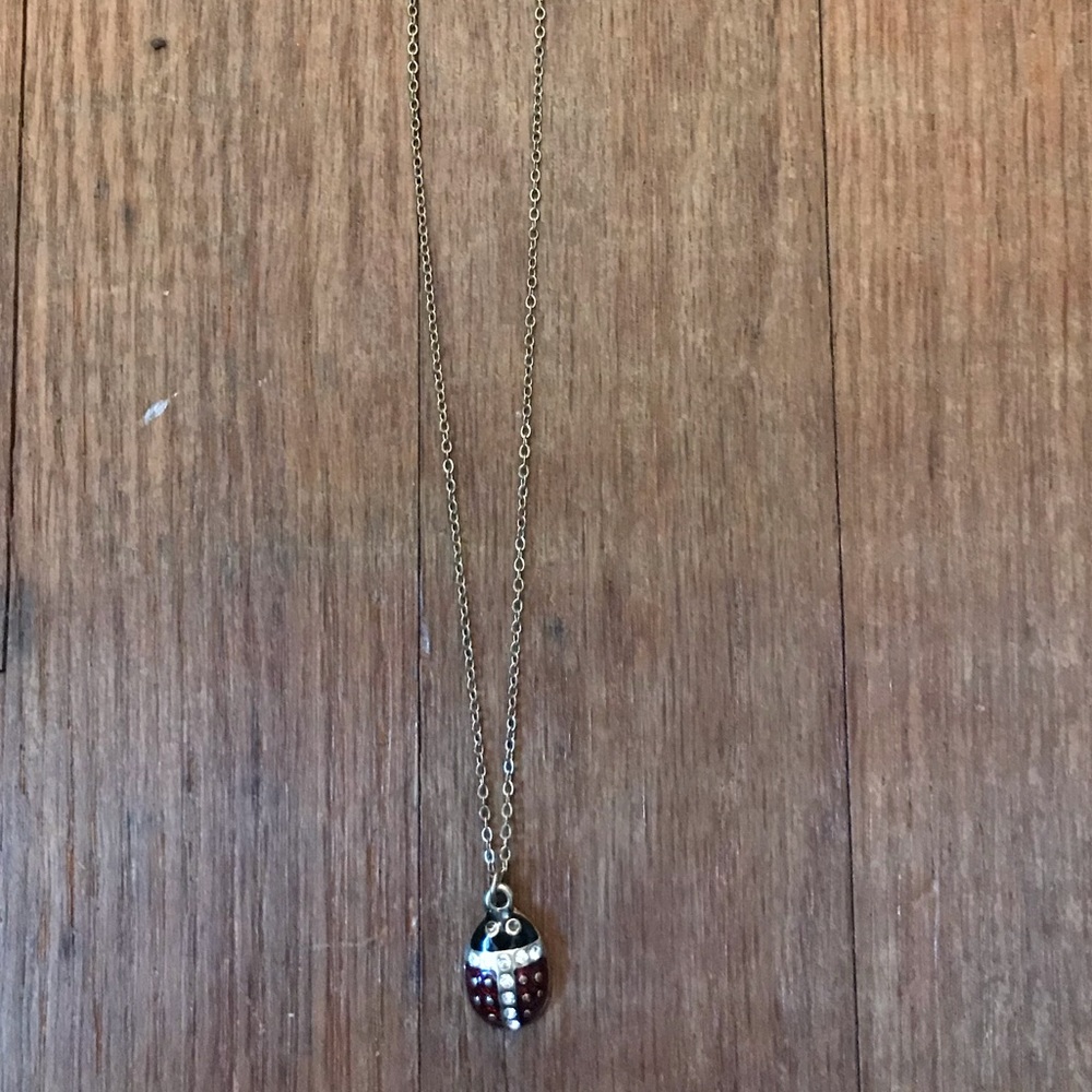 Ladybug Necklace